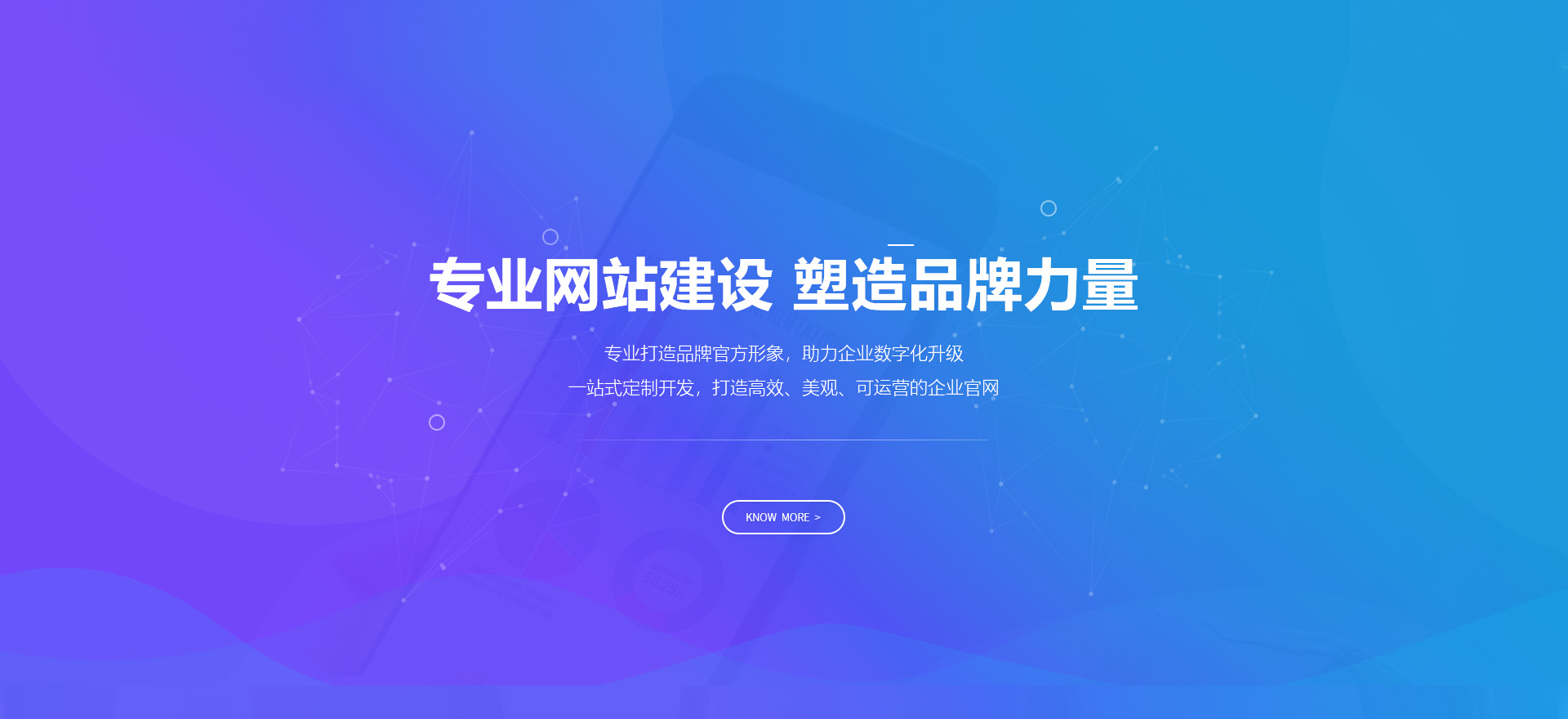 专业网站建设 塑造品牌力量